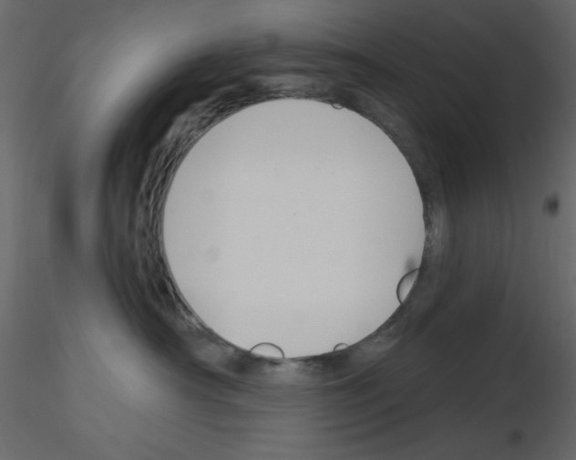 X0000115810430200912241918