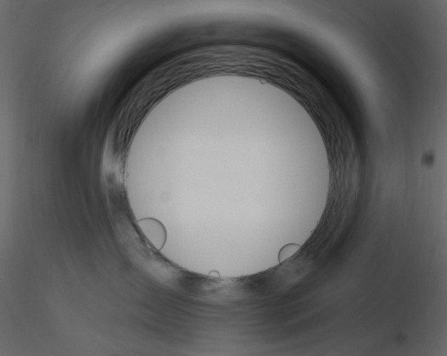 X0000115810431200912241918