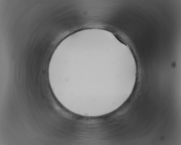 X0000115810433200912241917