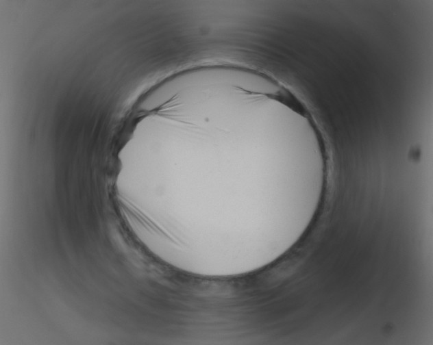 X0000115810434200912241917