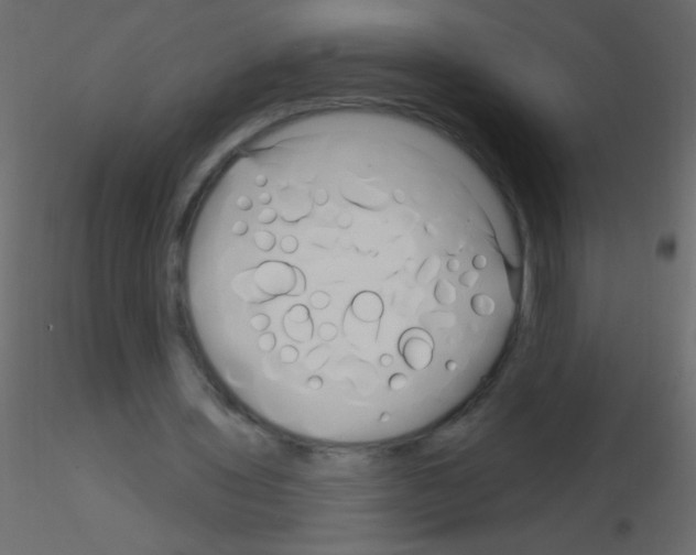 X0000115810435200912241917