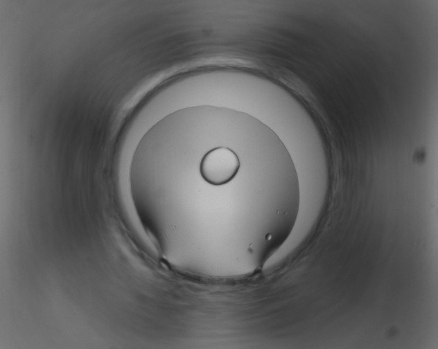 X0000115810436200912241917