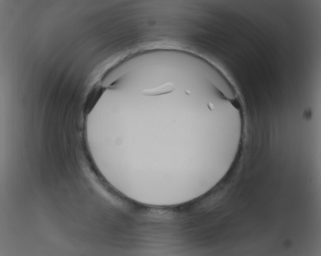 X0000115810437200912241917