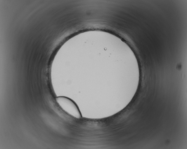 X0000115810439200912241917