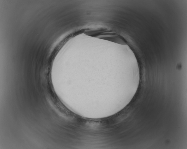 X0000115810440200912241917
