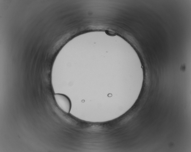 X0000115810441200912241917