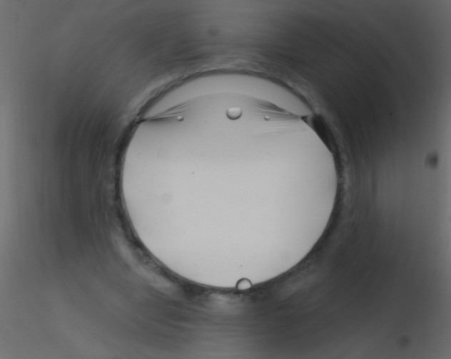 X0000115810442200912241917