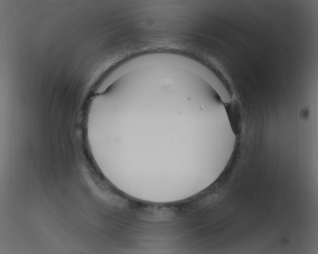 X0000115810443200912241917
