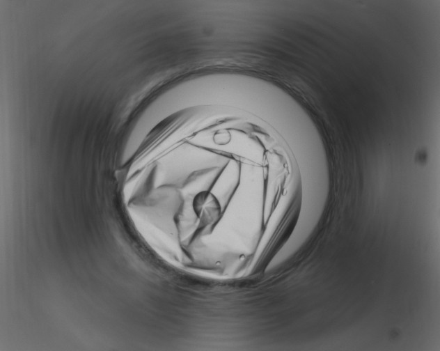 X0000115810444200912241917