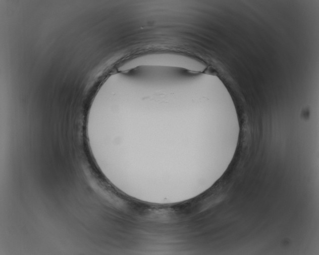 X0000115810446200912241917