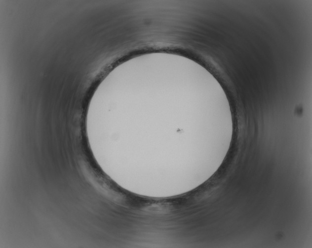 X0000115810447200912241917