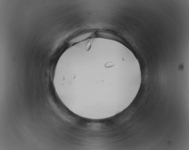 X0000115810448200912241917