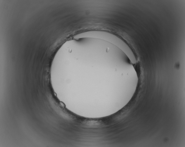 X0000115810449200912241917