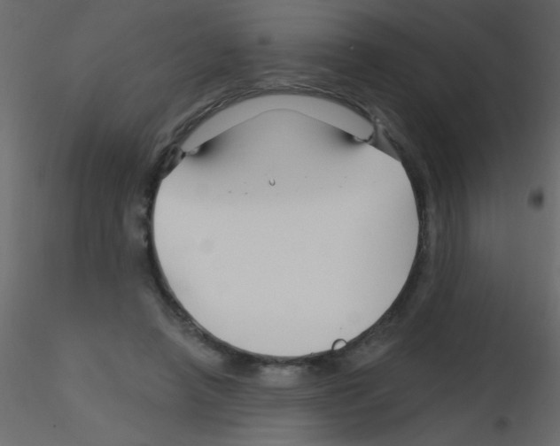 X0000115810450200912241917