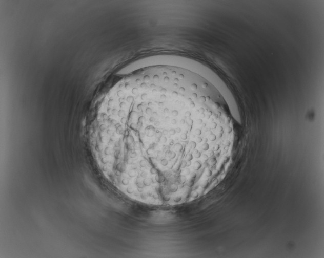 X0000115810451200912241917