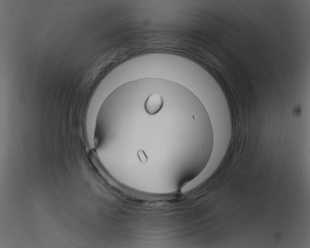 X0000115810452200912241917