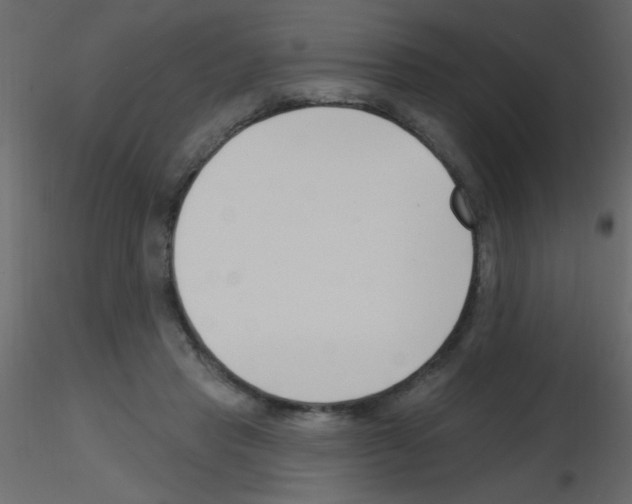 X0000115810453200912241917