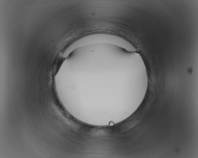 X0000115810454200912241917