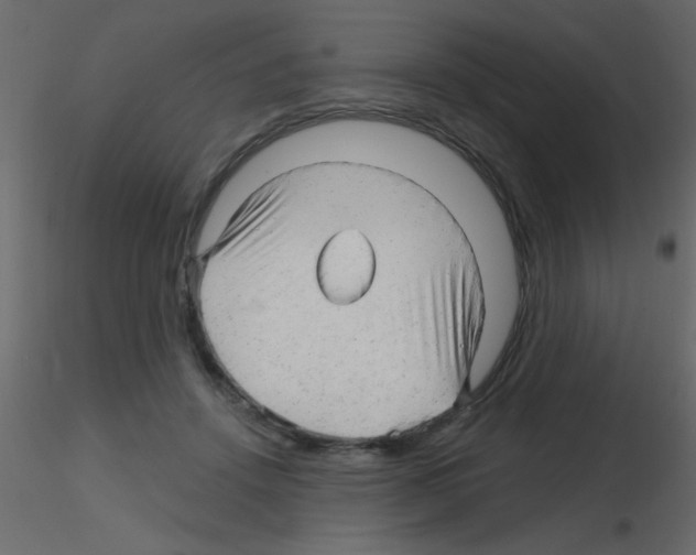 X0000115810456200912241917