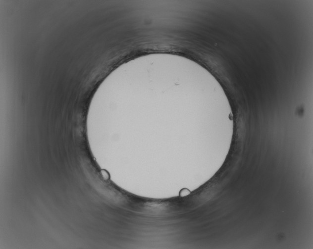 X0000115810457200912241917