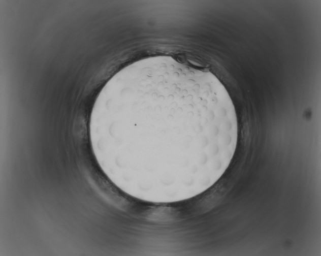 X0000115810459200912241918