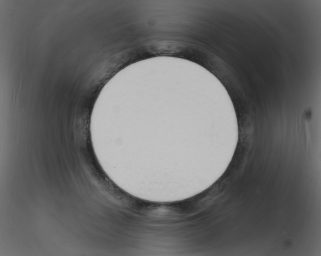 X0000115810460200912241918