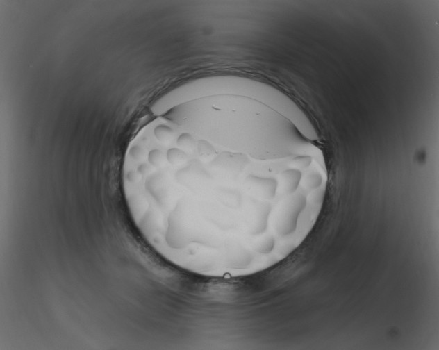 X0000115810462200912241918