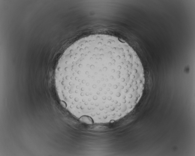 X0000115810463200912241918