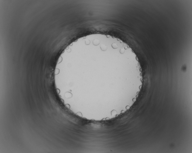 X0000115810464200912241918
