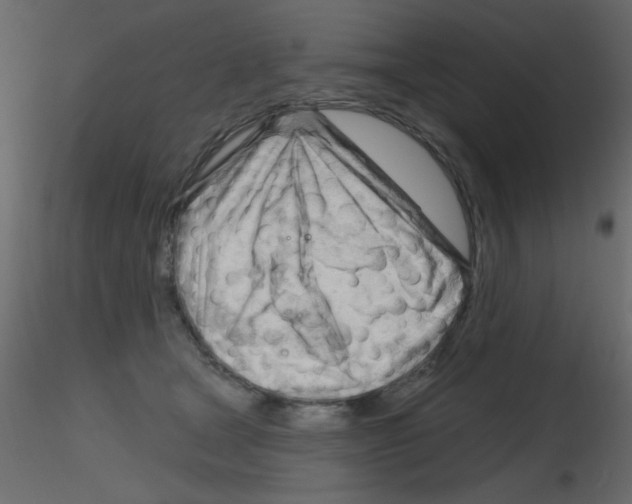 X0000115810465200912241918