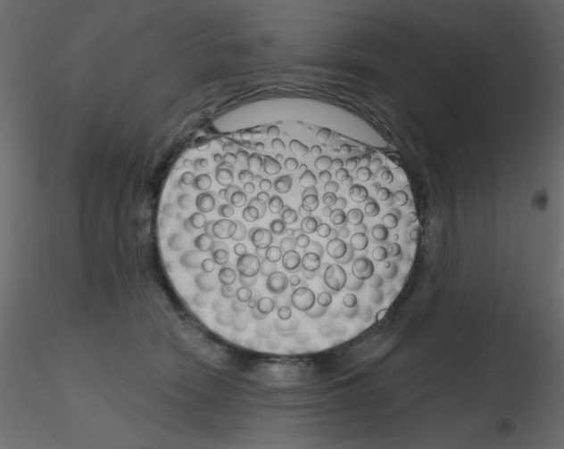 X0000115810466200912241918