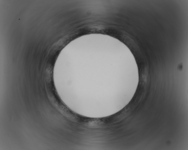 X0000115810468200912241918