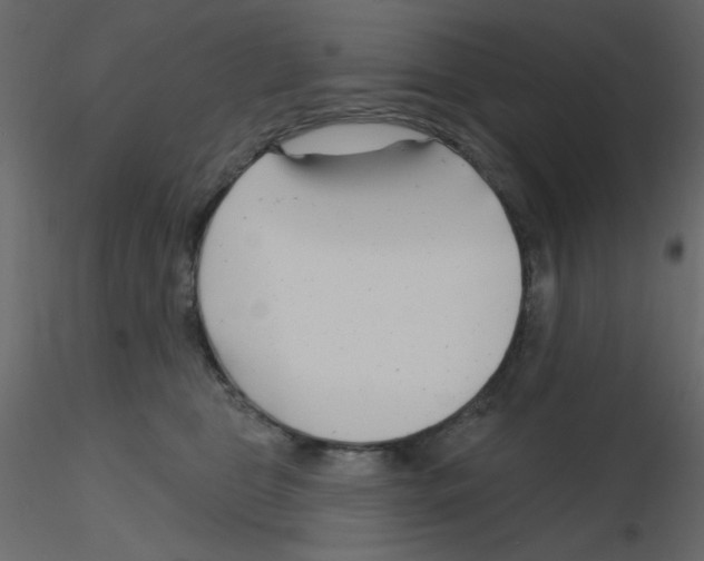 X0000115810469200912241918