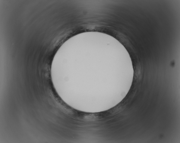 X0000115810470200912241918