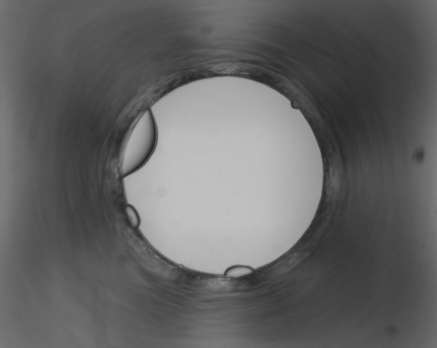 X0000115810473200912241918