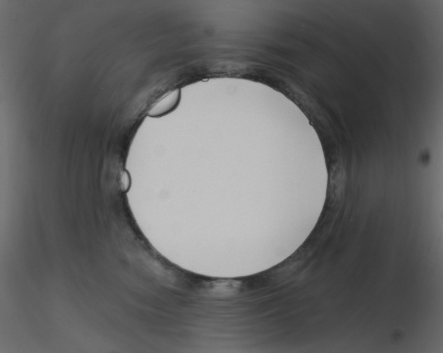 X0000115810474200912241918