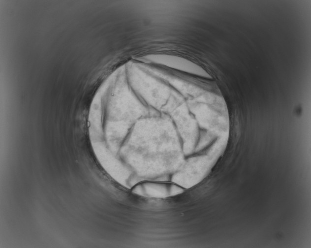 X0000115810475200912241918