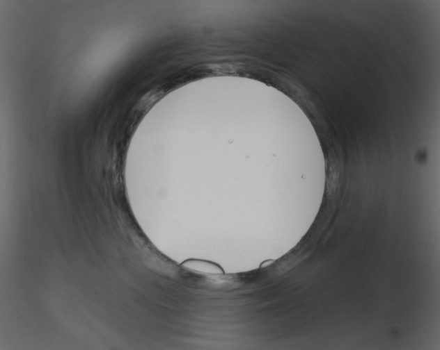 X0000115810477200912241918