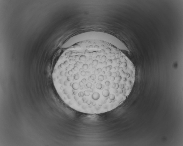 X0000115810478200912241918