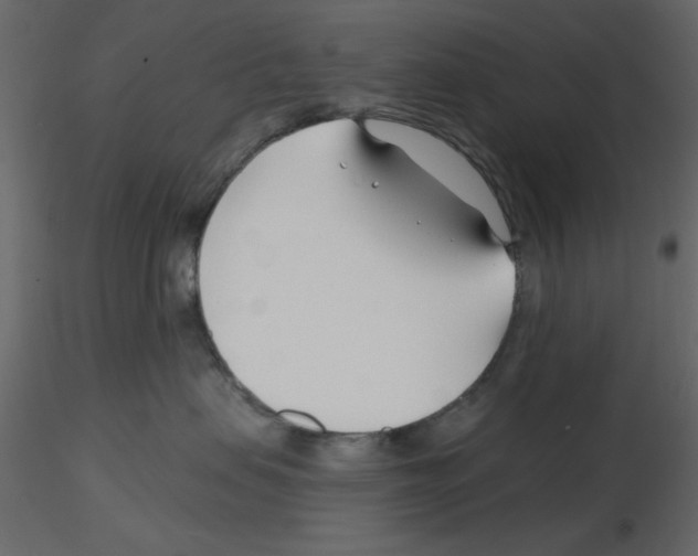 X0000115810479200912241918