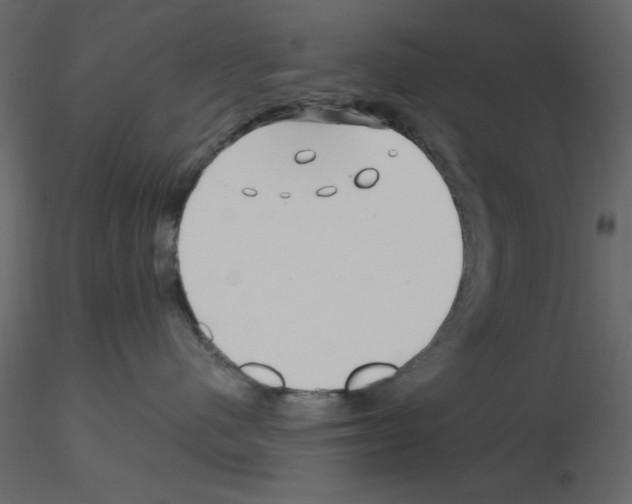 X0000115810480200912241918