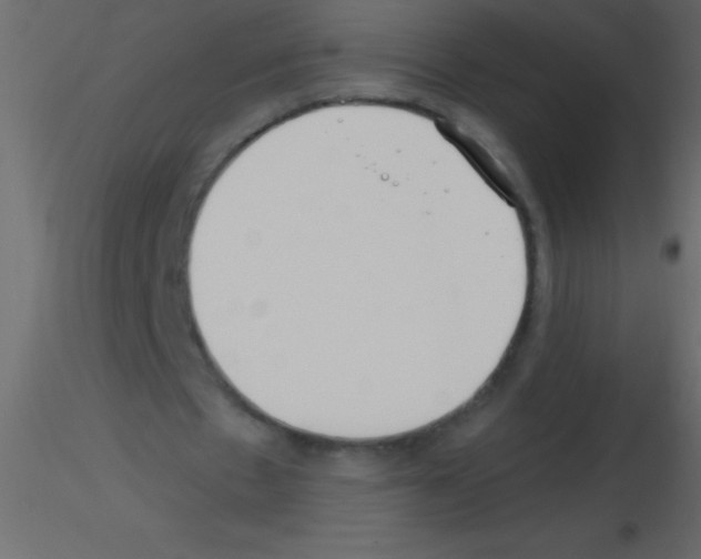 X0000115810481200912241917