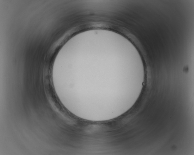 X0000115810482200912241917
