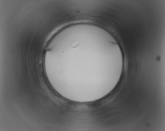 X0000115810483200912241917