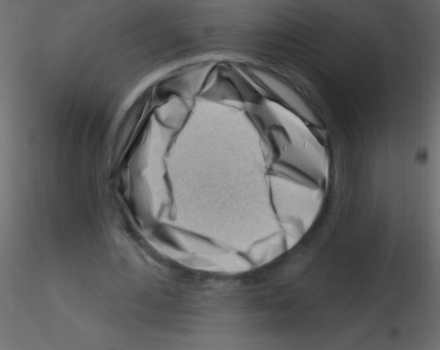 X0000115810484200912241917