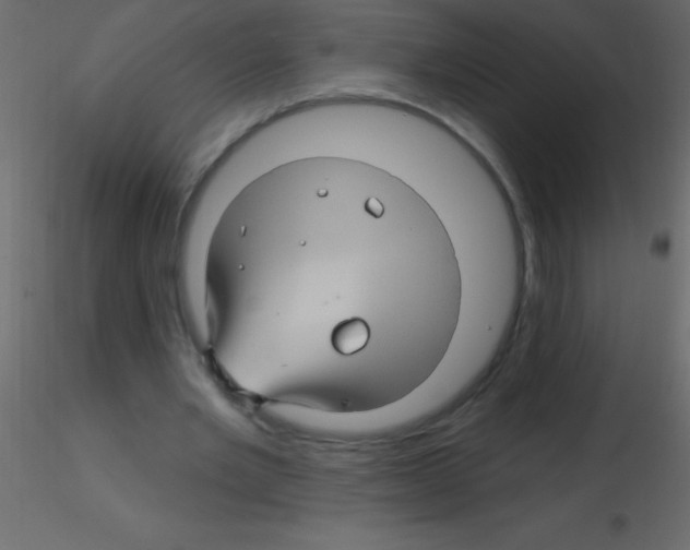 X0000115810485200912241917