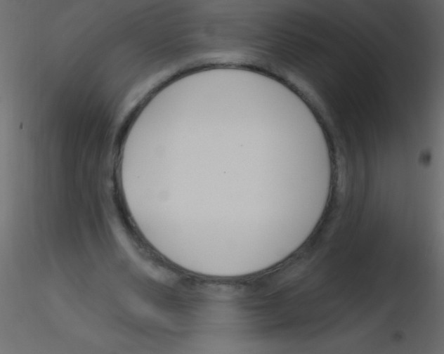X0000115810486200912241917
