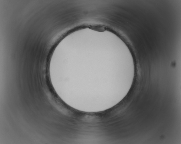 X0000115810487200912241917