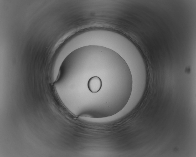 X0000115810488200912241917
