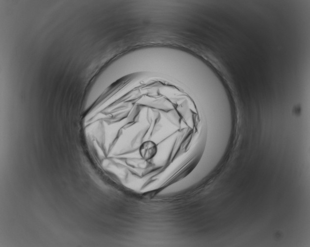 X0000115810489200912241917